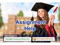 assignment-help-from-professionals-by-no1assignmenthelpcom-small-0