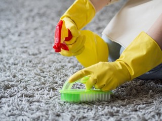 Upholstery cleaners Brisbane - Ezydry