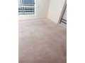 say-goodbye-to-stains-with-dry-carpet-clean-in-adelaide-small-0