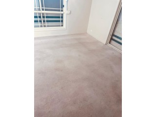 Say Goodbye to Stains with Dry Carpet Clean in Adelaide