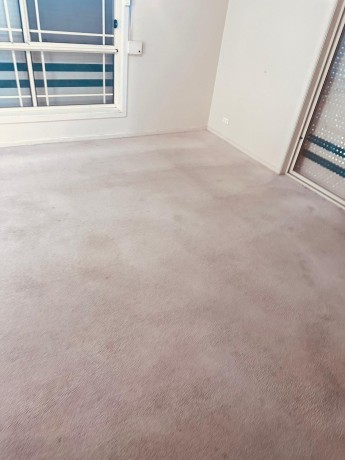 say-goodbye-to-stains-with-dry-carpet-clean-in-adelaide-big-0