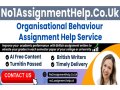 organisational-behaviour-assignment-help-by-no1assignmenthelpcouk-small-0