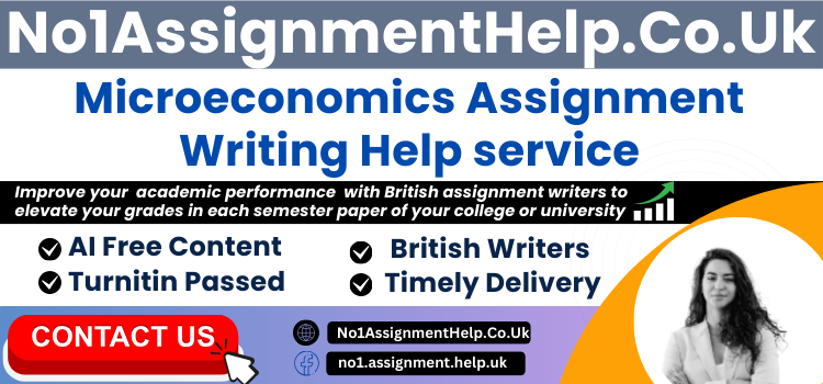 microeconomics-assignment-help-by-no1assignmenthelpcouk-big-0