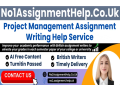 project-management-assignment-help-by-no1assignmenthelpcouk-small-0