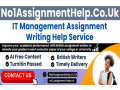 it-management-assignment-help-by-no1assignmenthelpcouk-small-0