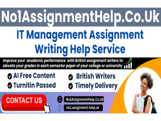 IT Management Assignment Help By No1AssignmentHelp.Co.UK