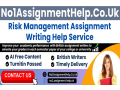 risk-management-assignment-help-by-no1assignmenthelpcouk-small-0