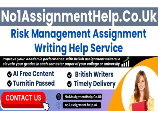 Risk Management Assignment Help By No1AssignmentHelp.Co.UK