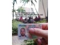 passports-visas-drivers-license-id-small-2