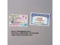 passports-visas-drivers-license-id-small-3