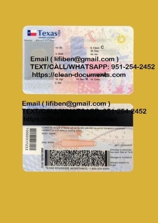 passports-visas-drivers-license-id-big-1