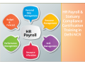 hr-payroll-institute-in-delhi-sla-classes-sap-hcm-certification-in-gurgaon-hr-training-course-in-noida-2024-offer-small-0