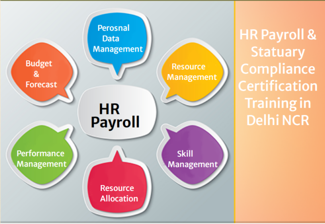 hr-payroll-institute-in-delhi-sla-classes-sap-hcm-certification-in-gurgaon-hr-training-course-in-noida-2024-offer-big-0