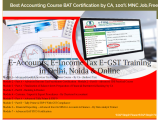 Advanced Accounting Course in Delhi, 110011, with Free SAP Finance FICO  by SLA Consultants Institute in Delhi, NCR,