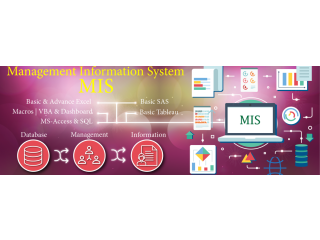 Best MIS Certification in Delhi, SLA Institute, Excel, VBA Macros, SQL, Tableau, Power BI, R & Python Classes with 100% Job,