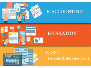 Accounting Course in Delhi, 110024, SLA Accounting Institute, Taxation and Tally Prime Institute in Delhi, Noida,