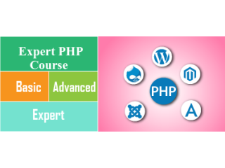 Best PHP Training Course in Delhi, SLA IT Institute, Live Project, Git, Wordpress, Laravel Classes with 100% Job Placement