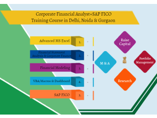 Financial Modeling Training Course in Delhi, 110069. Best Online Live Financial Analyst Training in Patna by IIT Faculty , [ 100% Job in MNC]
