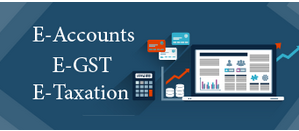 e-accounting-course-in-delhi-110052-sap-fico-course-in-noida-bat-course-by-sla-accounting-institute-taxation-and-tally-prime-big-0