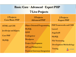 Job Oriented PHP Certification Course in Delhi, SLA IT Institute, Live Project, Git, Laravel Classes with 100% Job