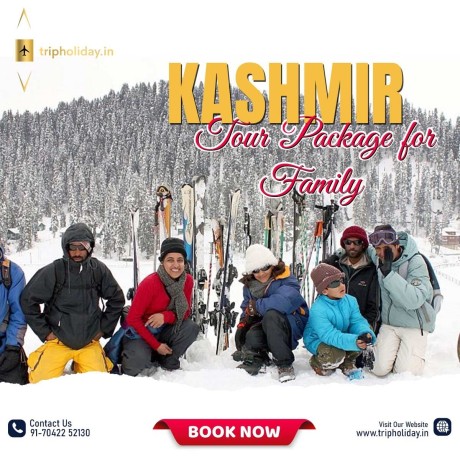 get-started-with-us-by-taking-a-kashmir-tour-package-for-families-big-0