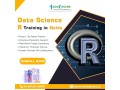 data-science-r-training-in-noida-placement-assitance-small-0