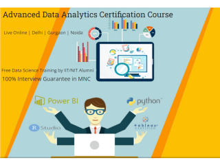 Best Data Analyst Course in Delhi, 110038. Best Online Live Data Analyst Training in Bhopal by IIT Faculty , [ 100% Job in MNC]