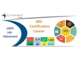 Job-Guaranteed MIS Certification, Delhi, Noida & Gurgaon at SLA Consultants Institute with Free Demo Classes