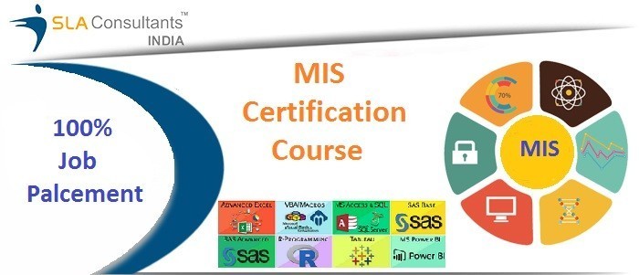 job-guaranteed-mis-certification-delhi-noida-gurgaon-at-sla-consultants-institute-with-free-demo-classes-big-0