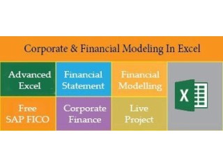 Financial Modelling Training Course in Delhi, 110051. Best Online Live Financial Analyst Training in Patna by IIT Faculty