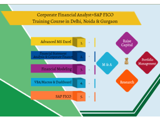 Financial Modelling Certification Course in Delhi.110088. Best Online Live Financial Analyst Training in Gurgaon by IIT Faculty