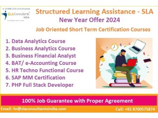 Financial Modeling Course ,100% Financial Analyst Job, Salary Upto 6.5 LPA, SLA, Delhi, Noida, Ghaziabad, [100% Job, Learn New Skills of '24]