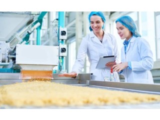 How Can Working with a Food Processing Consultant Help? Tech4serve