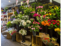 faux-floral-shop-small-0