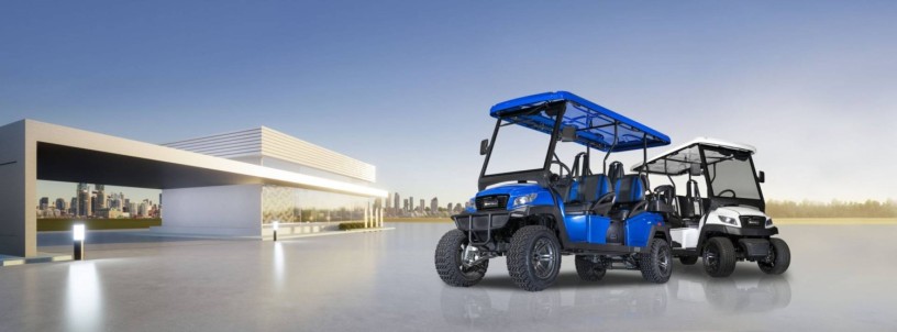 ami-luxury-golf-cart-rentals-big-0