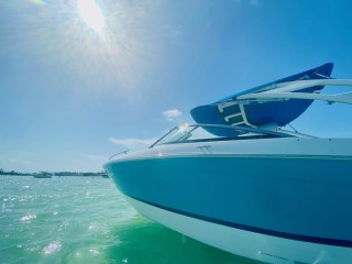 Boat tours anna maria island