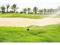 best-golf-grass-types-the-golfers-should-know-about-your-golfspot-small-0
