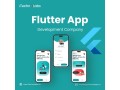 top-notch-flutter-app-development-company-in-california-itechnolabs-small-0