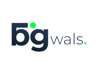 Logo Design Service Florida | Bigwals