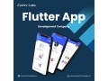 responsible-1-flutter-app-development-company-in-california-itechnolabs-small-0