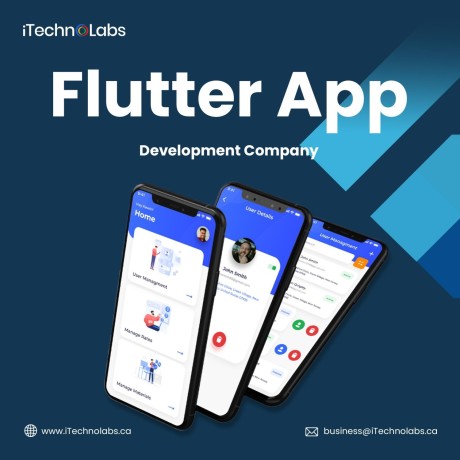 responsible-1-flutter-app-development-company-in-california-itechnolabs-big-0